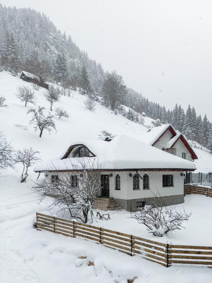 Casa Sena Villa Moeciu De Sus Eksteriør bilde